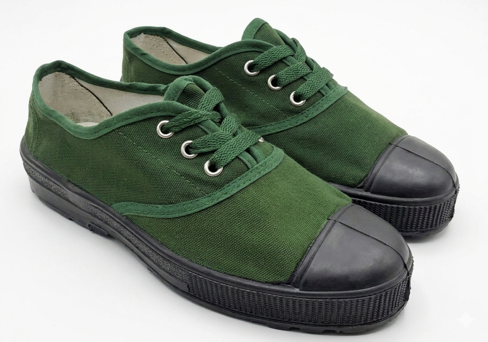 Giày vải thấp cổ 