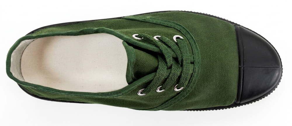 Giày vải thấp cổ 